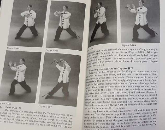 The essence of tai chi - qi kung - kung fu