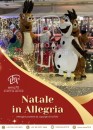 NATALE IN ALLEGRIA- SFILATA E ANIMAZIONE SUI TRAMPOLI – ANIMARE E INCENTIVARE LO SHOPING NATALIZIO IN UN UNICO SPETTACOLO – EVENTI AZIENDALI - EVENTI PRIVATI -EVENTI PUBBLICI