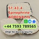 cas 51-43-4 Epinephrine powder C9H13NO3 ADRENALIN