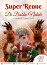 SUPER RENNE DI BABBO NATALE - SFILATA E ANIMAZIONE SUI TRAMPOLI – ANIMARE E INCENTIVARE LO SHOPING NATALIZIO IN UN UNICO SPETTACOLO – EVENTI AZIENDALI - EVENTI PRIVATI -EVENTI PUBBLICI