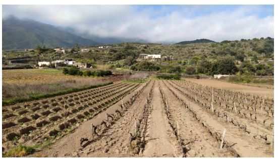 Tribunale di Marsala - RG 25172019 Terreno in asta