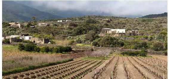 Tribunale di Marsala - RG 25172019 Terreno in asta