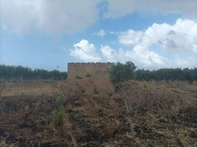 Tribunale di Marsala - RG 262022 Terreno in asta