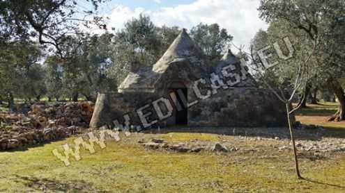 Trullo con 3 coni a 14 Km da Ostuni