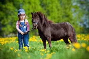 Tutti a Cavallo Equitazione per adulti e bambini a Parma