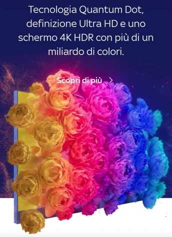 Tv 65 4k nuovo