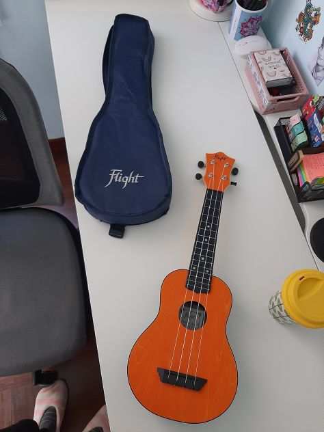 Ukulele in custodia mai usato