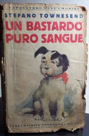 UN BASTARDO PURO SANGUE, STEFANO TOWNESEND, Sozogno,1928.