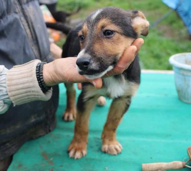 UNA MAMMA PER TOMMY