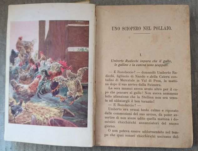 Uno Sciopero nel Pollaio, TOMMASO CATANI, A, Salani 1932.