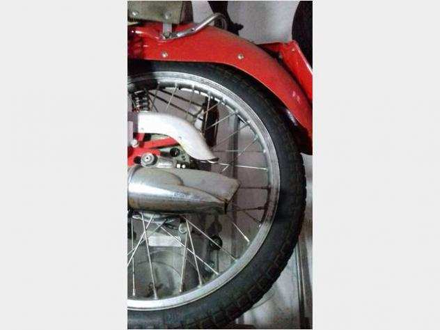 Usato BENELLI SPORT cc125