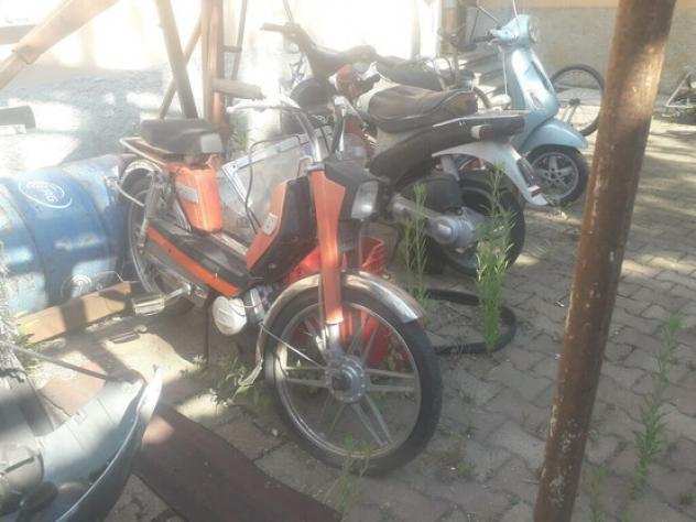 Usato Moton benelll Velomosquito cc50