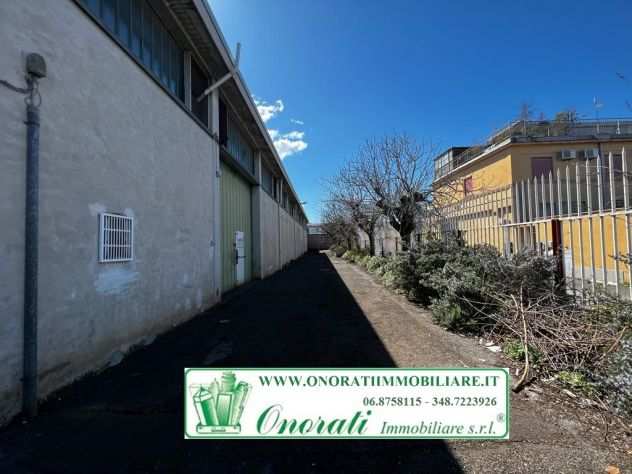 V-503 MQ 3.000 ROMA ZONA SETTECAMINITIBURTINA