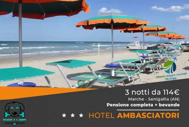 Vacanze estate nelle Marche a Senigallia - Ancona con codice sconto DLTViaggi