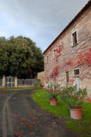 Vada - Rif. R0025. Nella campagna, in posizione tranquilla, porzione terminale di colonica tipica toscana, della superficie complessiva di 320 mq, rip