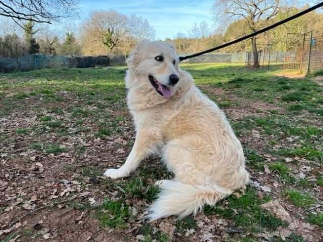 VANIGLIA 5anni una bella timidina