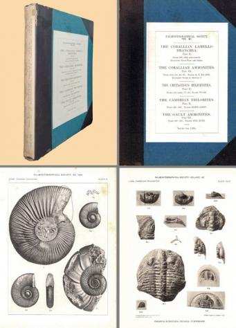 Various - Palaeontographical Society vol. XC - 1936