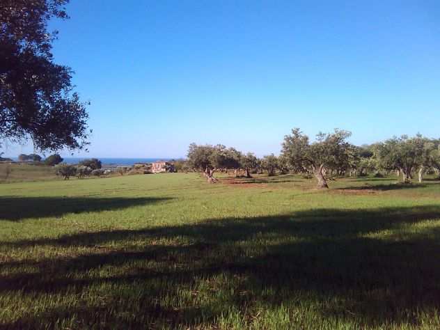 Vendensi terreno agricolo con cascina Farmhouse