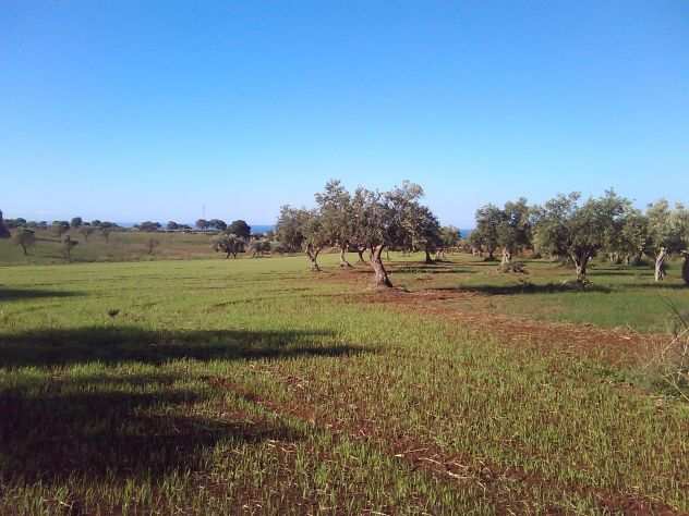 Vendensi terreno agricolo con cascina Farmhouse