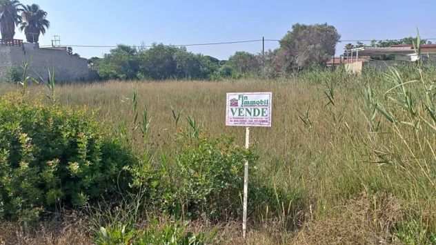 Vendesi in Porto cesareo, zona punta prosciutto terreno