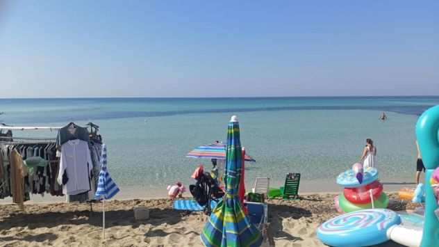 Vendesi in Porto cesareo, zona punta prosciutto terreno