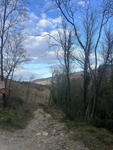 VENDESI TERRENO 1,5 ettari a Prato