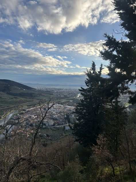 VENDESI TERRENO 1,5 ettari a Prato