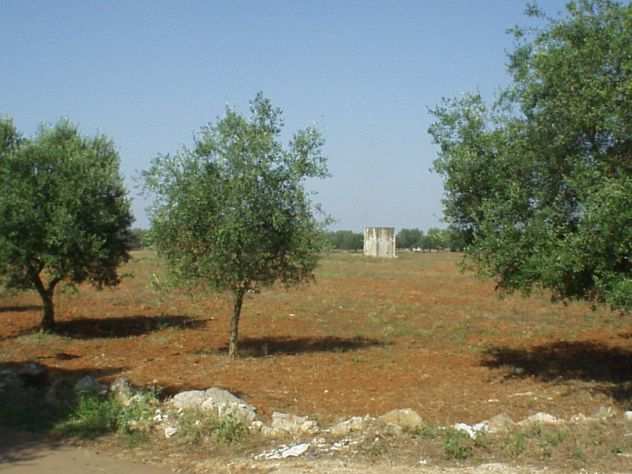 VENDESI TERRENO AGRICOLO NEL COMUNE CASARANO (LE)