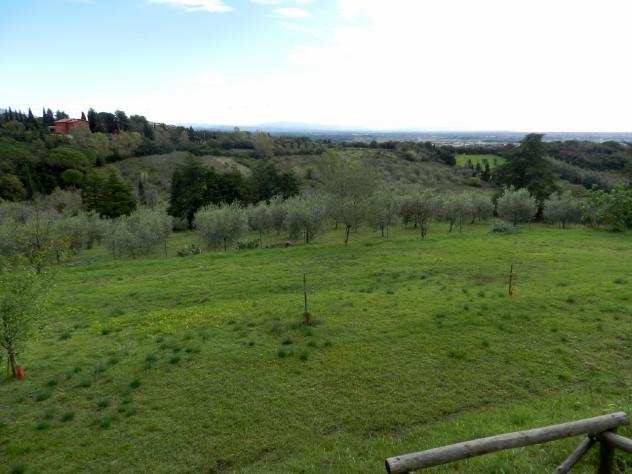 Vendita a Rosignano Marittimo in zona Rosignano Marittimo Paese 6 loca