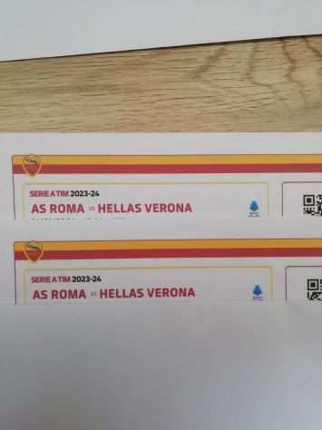 Vendo 2 biglietti Roma Verona Tevere top