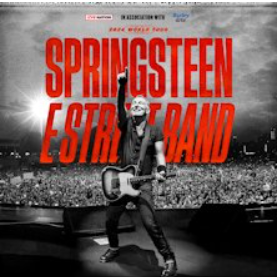Vendo 4 biglietti per il concerto di Bruce Springsteen