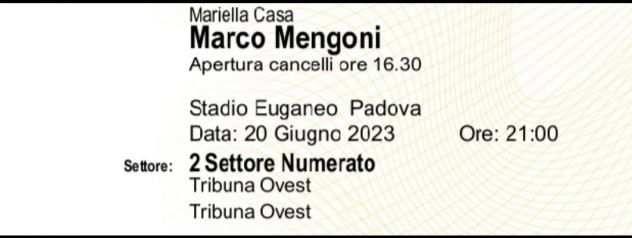 Vendo biglietto concerto MENGONI Padova 206