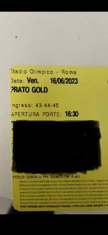 Vendo biglietto Vasco Rossi PRATO GOLD Roma