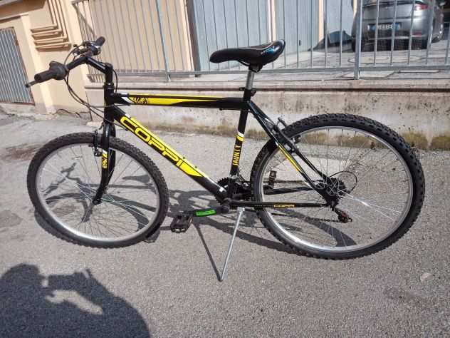 Vendo Montan bike