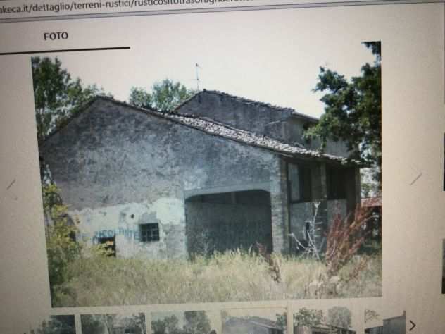 VENDO RUSTICO sito tra Soragna e roncole Verdi ampio lotto terreno 4000 metri qu