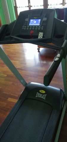 Vendo tapirulan Everlast TX100