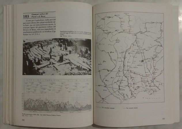 Vie del commercio in Emilia Romagna Marche di Giuseppe A.Ed. Amilcare Pizzi,1990