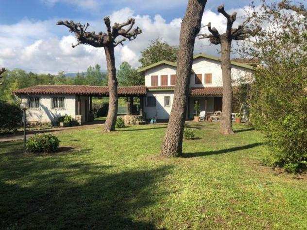 Villa in affitto a CINQUALE - Montignoso 150 mq Rif 785394