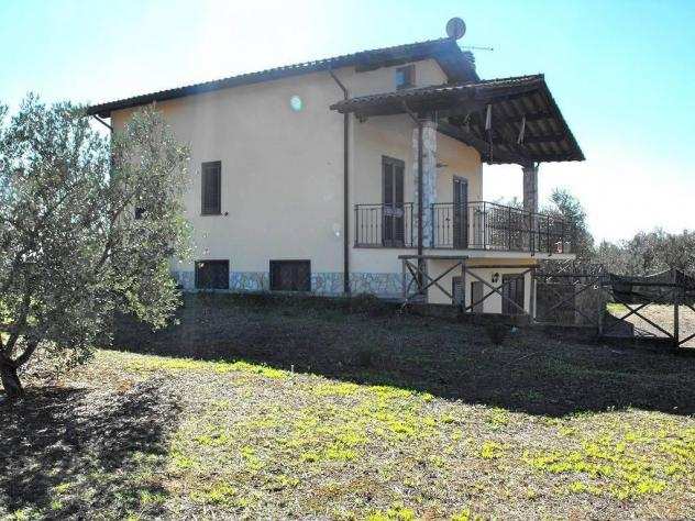 Villa in vendita a Montalto Di Castro - 5 locali 170mq