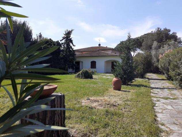 Villa in vendita a SAN FREDIANO A SETTIMO - Cascina 420 mq Rif 966648