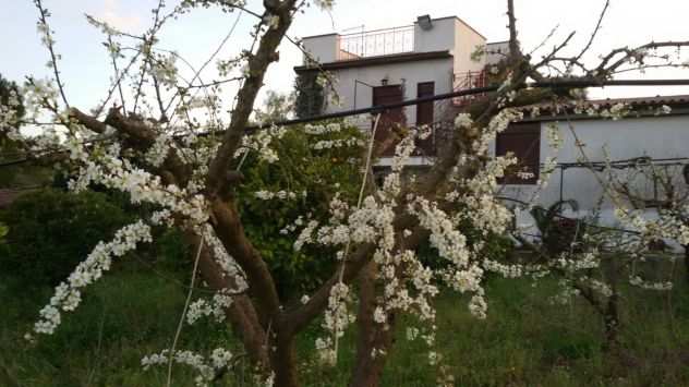 Villino in campagna contrada Ramilia, Caltanissetta