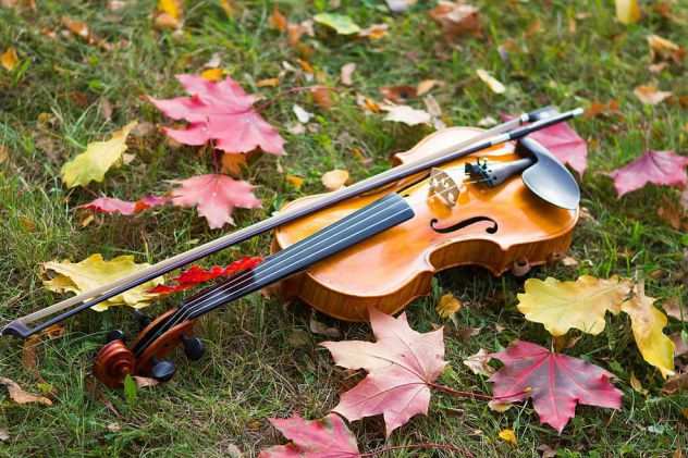 Violinista classica (con grande esperienza)
