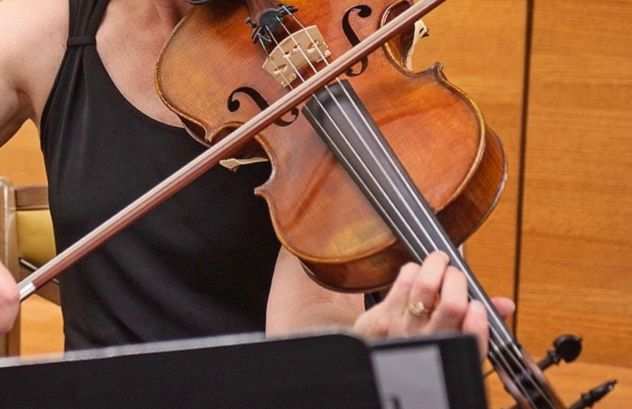 Violinista classica professionista a Pavia