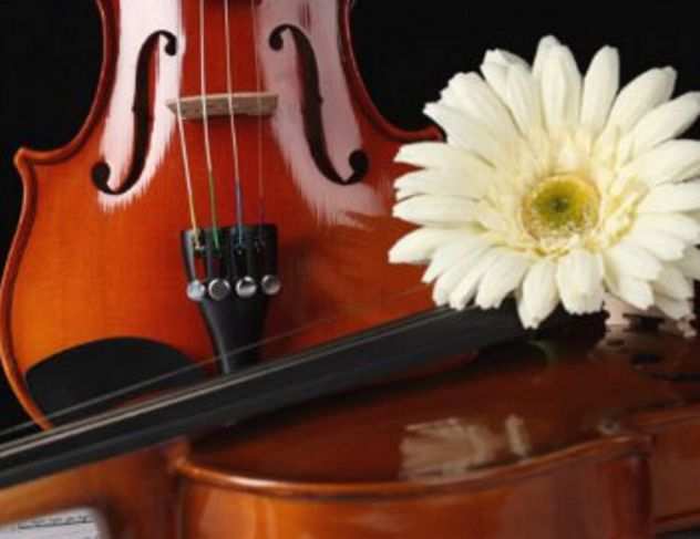 Violinista con violino acustico oppure elettrico