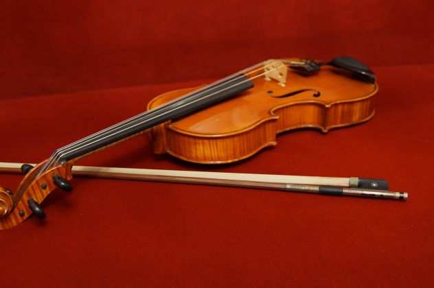 Violinista Lavagna
