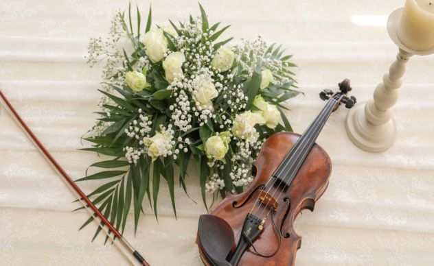 Violinista Matrimonio Pavia