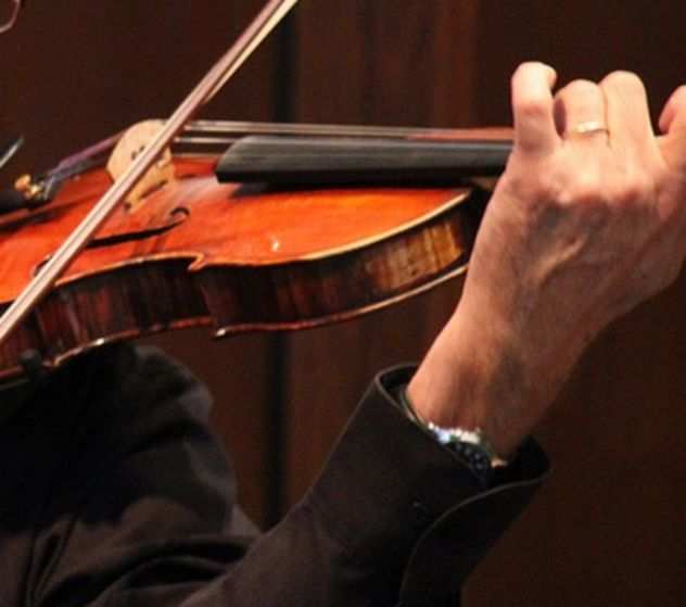Violinista per matrimoni, cerimonie, concerti a Bologna e Carpi