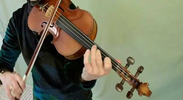 Violinista professionista a Padova