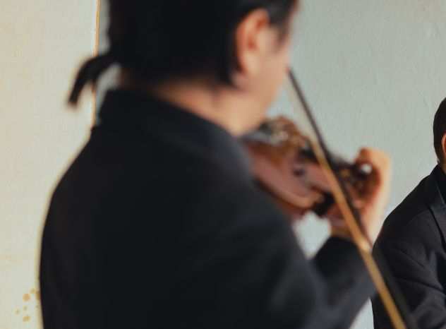 Violinista professionista a Rovato