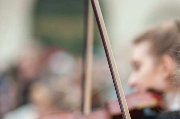 Violinista professionista a Rozzano
